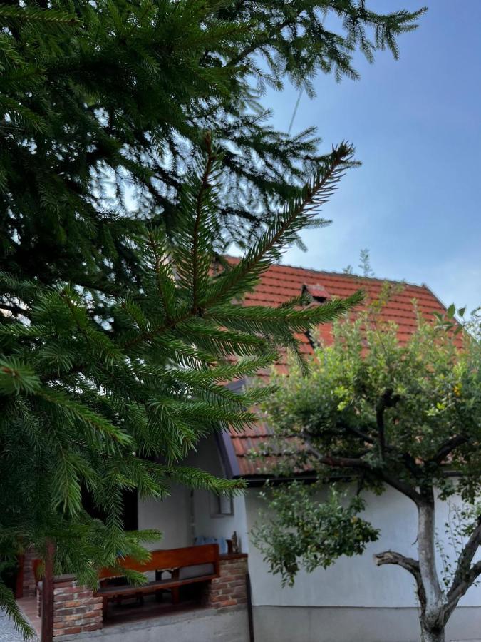 ויסוקו Holiday Home Amila מראה חיצוני תמונה
