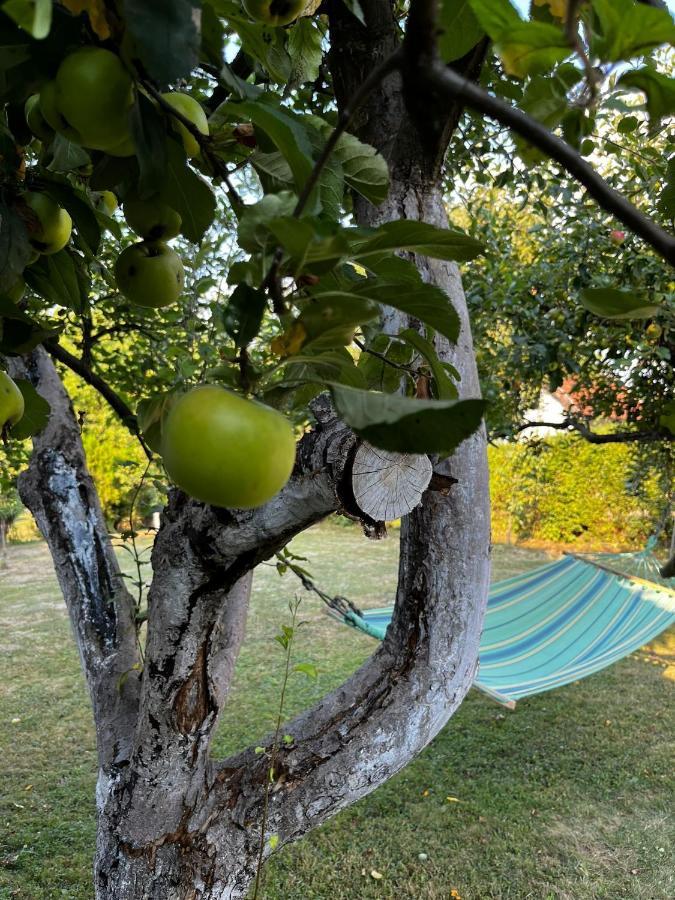 ויסוקו Holiday Home Amila מראה חיצוני תמונה